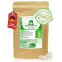 L-Lysin Kapseln - Bio Protect - 120 Kapseln - 500 mg pro Kapsel- ohne Zusatzstoffe