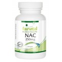 NAC - N-Acetyl-Cystein - 250 mg - 90 Kapseln - Fairvital- Bio Protect