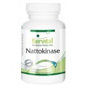 Nattokinase 50 mg -1000 FU - 60 Kapseln Fairvital